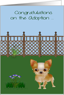 Congratulations on Adoption of Chihuahua Card with a Dog and Flowers card