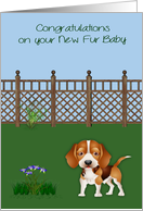 Congratulations On New Pet Beagle with a Dog in a Yard and Flowers card