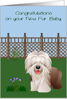 Congratulations On New Pet, Sheepdog, dog in a yard with flowers card