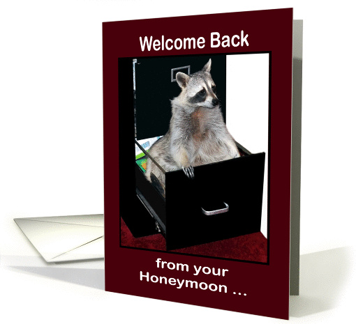 Welcome Back to Work from honeymoon, raccoon in a file cabinet card
