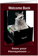 Welcome Back to Work from honeymoon, raccoon in a file cabinet card