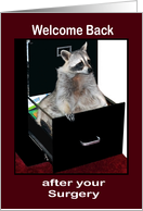 Welcome Back to Work after Surgery, raccoon in a file cabinet card