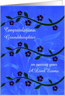 Congratulations on passing A Level exams custom relationship card