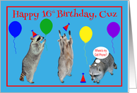 16th Birthday to Cousin, Raccoons with party hats and balloons on blu card
