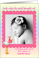 Announcements, birth of baby girl, custom name photo card, stork card