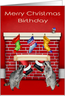 Birthday on Christmas, general, raccoons with Santa Claus on red card