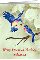 Birthday on Christmas, custom name, two beautiful blue birds card