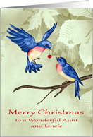 Christmas to Aunt and Uncle, two beautiful blue birds, red ornament card