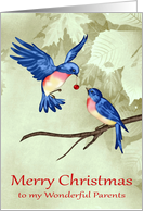 Christmas to Parents, two beautiful blue birds with a red ornament card