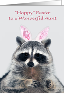 Easter to Aunt, a cute raccoon with bunny ears on gray with pink text card