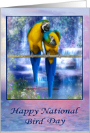 National Bird Day, January 5th, general, pair of beautiful parrots card