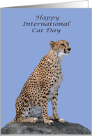 International Cat Day, August 8th, general, a beautiful cheetah card