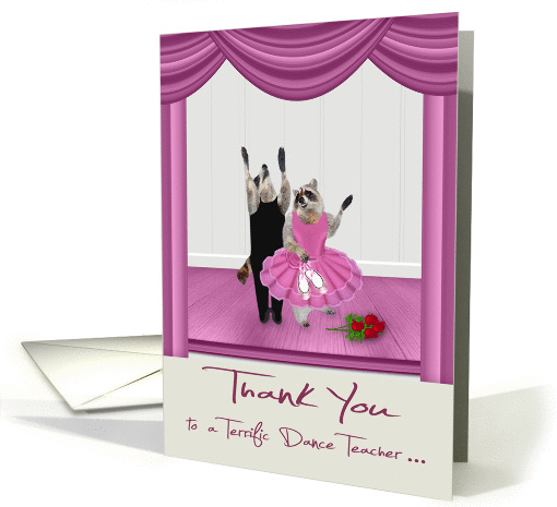Thank You to Dance Teacher, ballet, Raccoons in tutu and... (1463682)