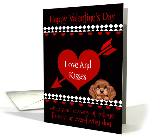 Valentine's Day away at college from the dog, Red hearts,... (1466222)
