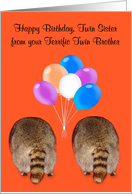 Birthday to Twin Sister from Twin Brother, Raccoon butts with balloons card