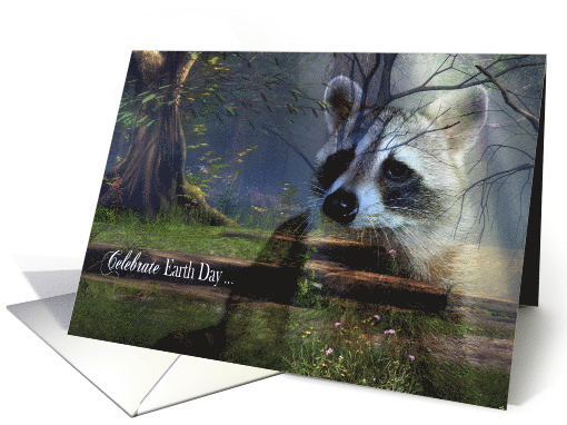 Earth Day, general, beautiful raccoon portait overlaying... (1481572)