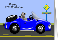 77th Birthday Age Humor with a Raccoon Driving a Blue Classic Car card