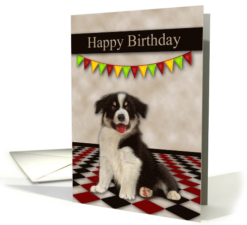 Birthday with a Border Collie with Colorful Fags Over its... (1508062)