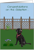 Congratulations On Adoption of a Black Labrador with a Dog and Flowers card