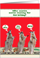 Money Enclosed Custom Any Occasion Card with Raccoons on Cash card