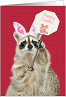 Easter with an Adorable Raccoon Wearing Bunny Ears Holding a Sign card