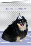 Birthday with a Happy Adorable Pomeranian Wearing a Party Hat card