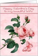 Valentine’s Day to Wife with a Pink Rose and a Butterfly in Flight card