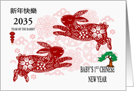 Baby’s 1st Chinese New Year Custom 2035 Year of the Rabbit card