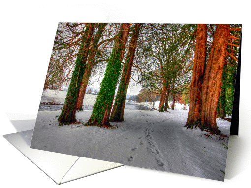 Card for any occasion - Irish Winter Scene - Color Photograph card