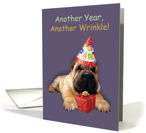 Another Year, Another Wrinkle, Shar Pei Dog In Party Hat card
