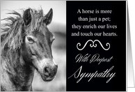 Horse Pet Sympathy With Wild Exmoor Pony card