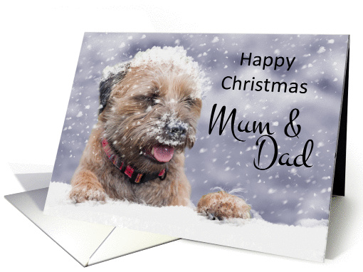 Mum & Dad Border Terrier Dog In The Snow card (1409848)