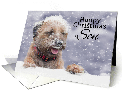 Son, Christmas, Border Terrier Dog In The Snow card (1410696)