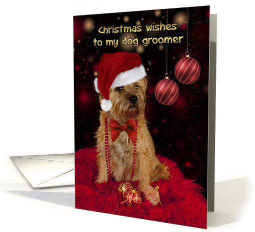 Dog Groomer Border Terrier Dog In A Santa Hat Happy Christmas card