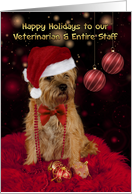 Veterinarian Border Terrier Dog In A Santa Hat Happy Christmas card