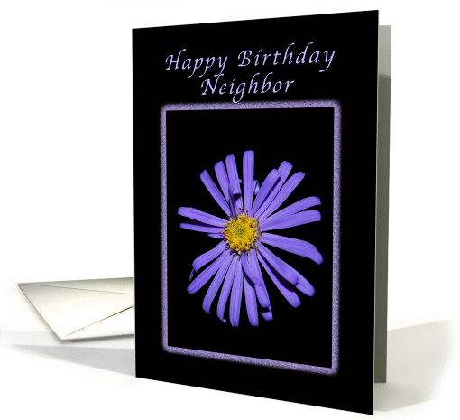 For a Neighbor on His/Her Birthday, Purple Aster card (1380658)