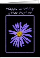 For a Great Nephew on His Birthday, Purple Aster card