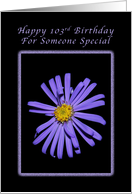 Happy 103rd Birthday for Someone Special, Purple Aster card