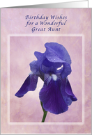 Birthday Wishes for a Great Aunt, Purple Iris on Pink card