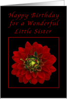 Happy Birthday for a Little Sister, Red Dahlia card