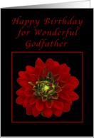 Happy Birthday for a Godfather, Red Dahlia card