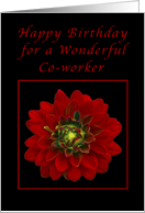 Happy Birthday for a Co-worker, Red Dahlia card