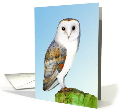Hand-Painted Watercolor Barn Owl Bird card (1368356)