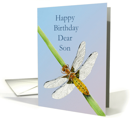 Happy Birthday Dear Son with Hand-painted Dragonfly card (1370400)