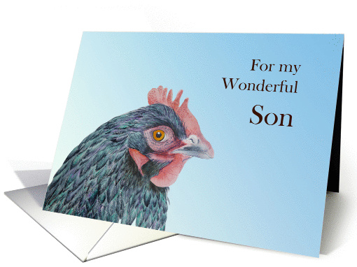 For my Wonderful Son with Hand-Painted Maran Hen card (1370602)