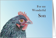 For my Wonderful Son with Hand-Painted Maran Hen card
