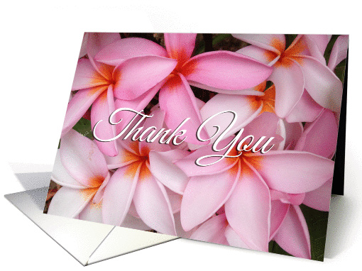 Beautiful Hawaiian Pink Plumerias Thank You card (1383402)