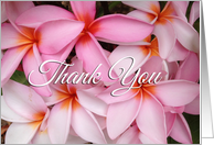 Beautiful Hawaiian Pink Plumerias Thank You card