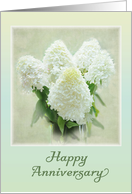 Happy Anniversary - Hydrangea flowers card