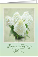 Anniversary - Remembering Mum card